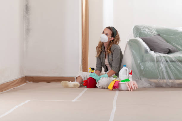 Reliable Mold Remediation contractor in Elmwood Park, NJ by Cheap Mold Removal